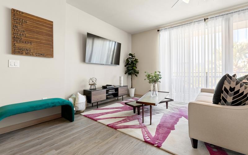 a living room with a red rug