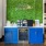 a room with a blue cabinet and a green wall with a plant